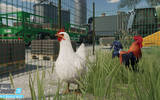 Fs23_release_chickens_en